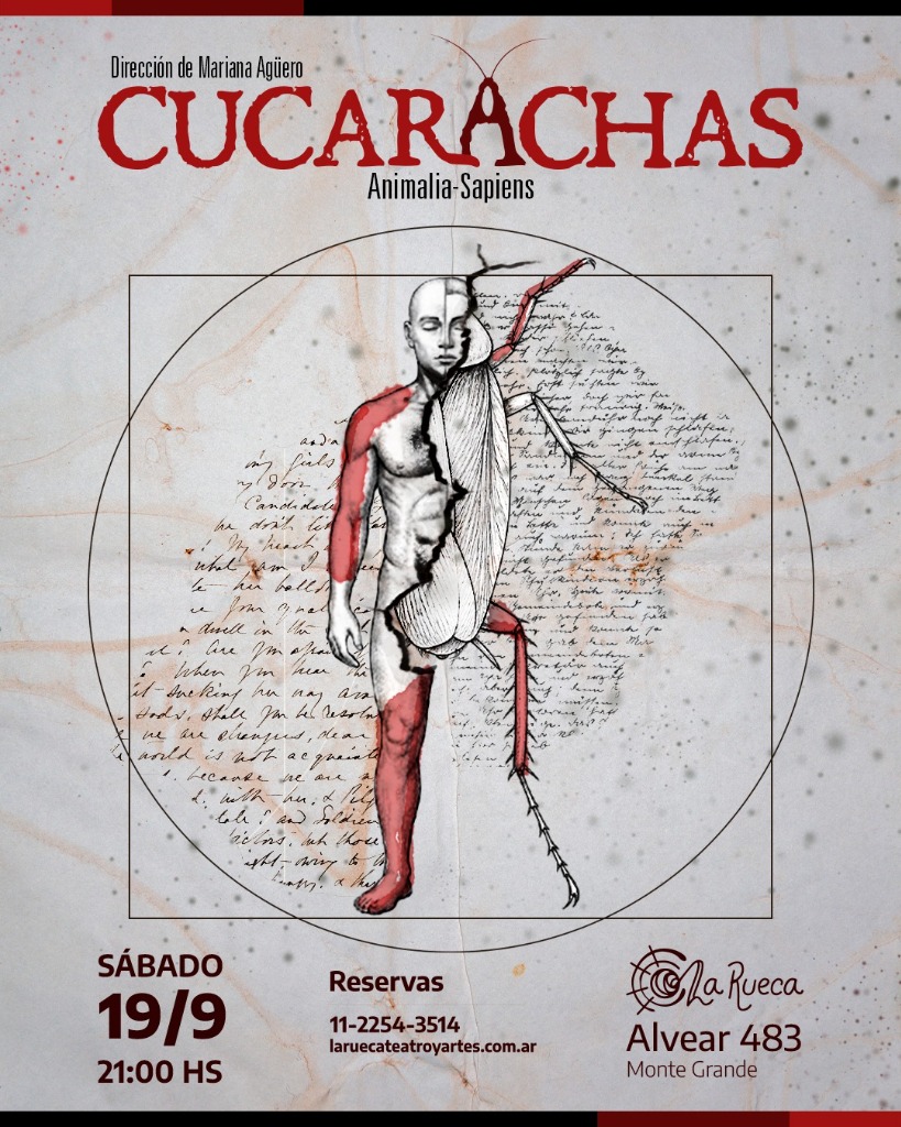 Cucarachas: Animalia/Sapiens